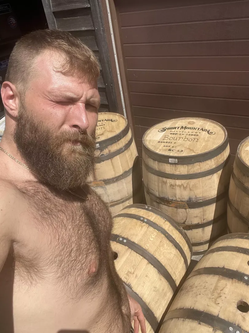 Barrel Chested