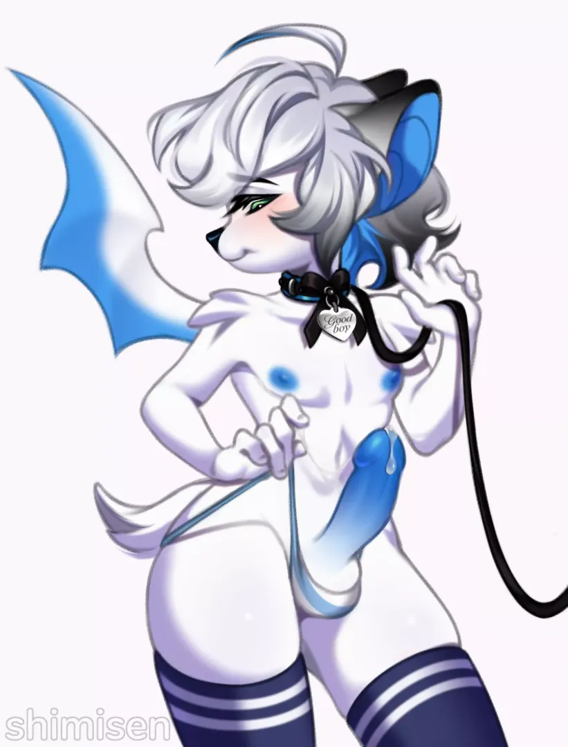 Bat boy (Shimisen)