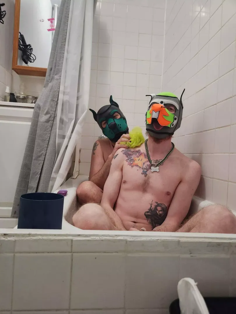 Bath Time For Beta -Who’s next ???