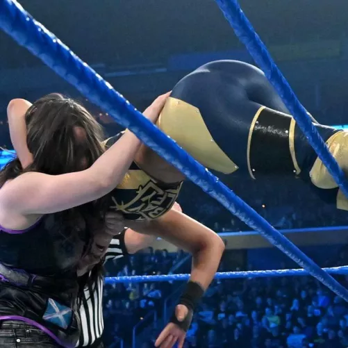 Bayley
