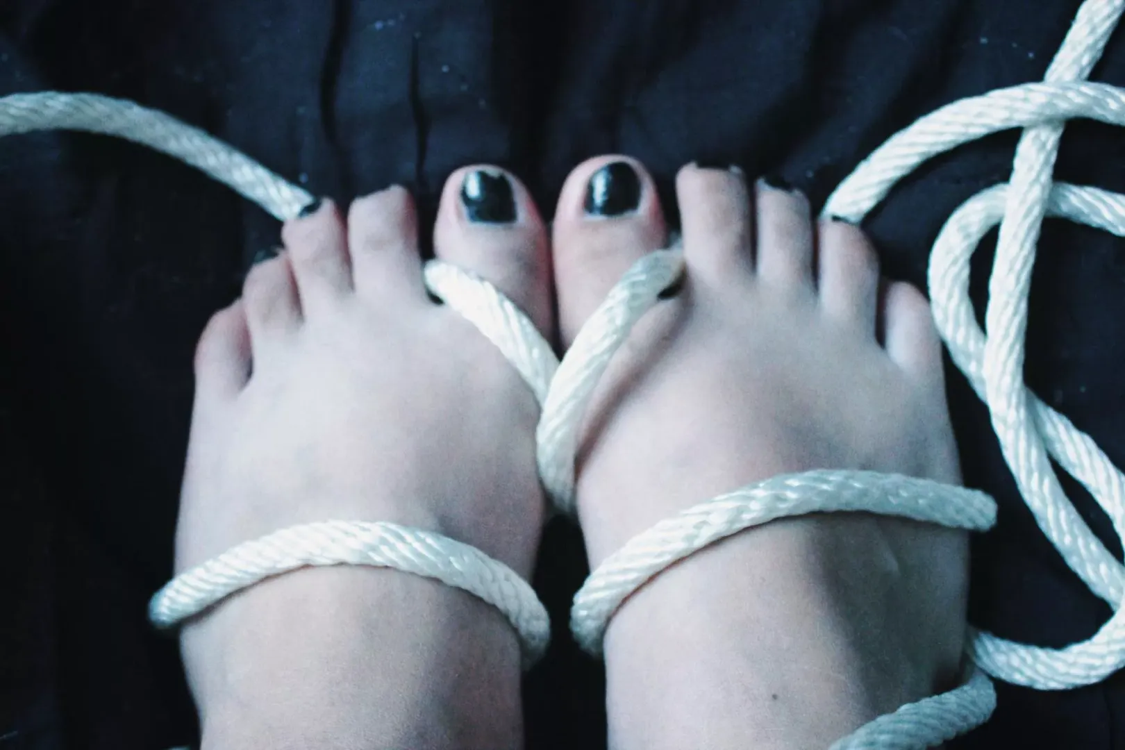 Bdsm pies