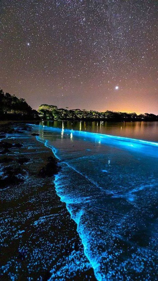 Beach in Maldives