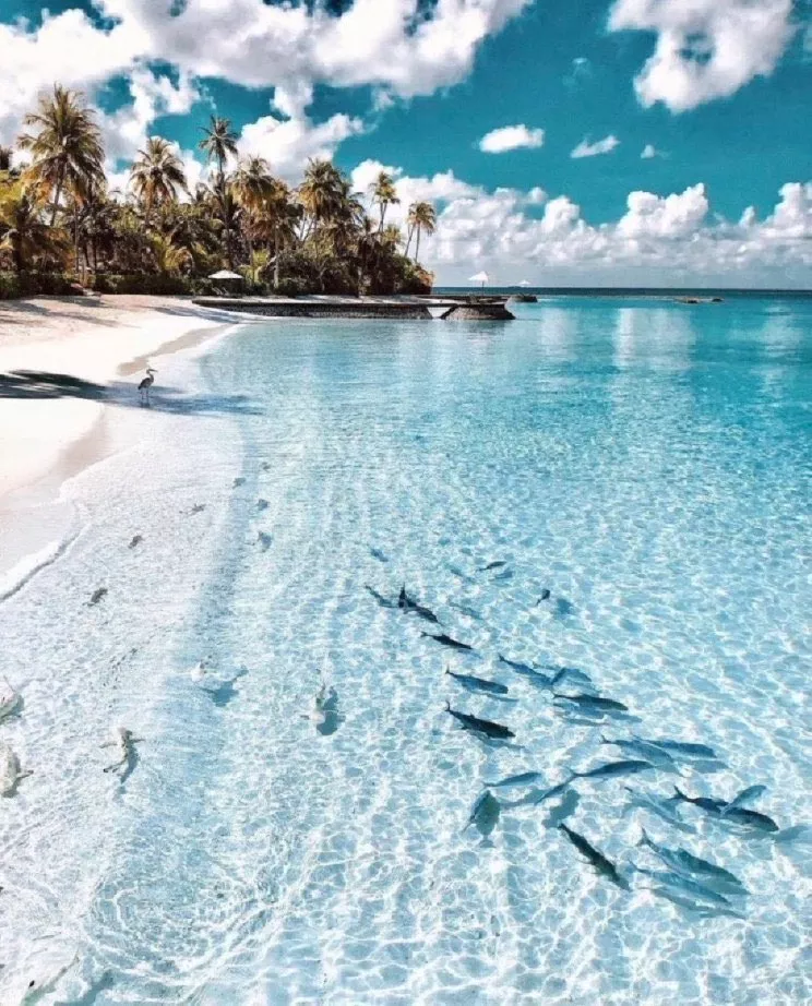 Beach in Maldives