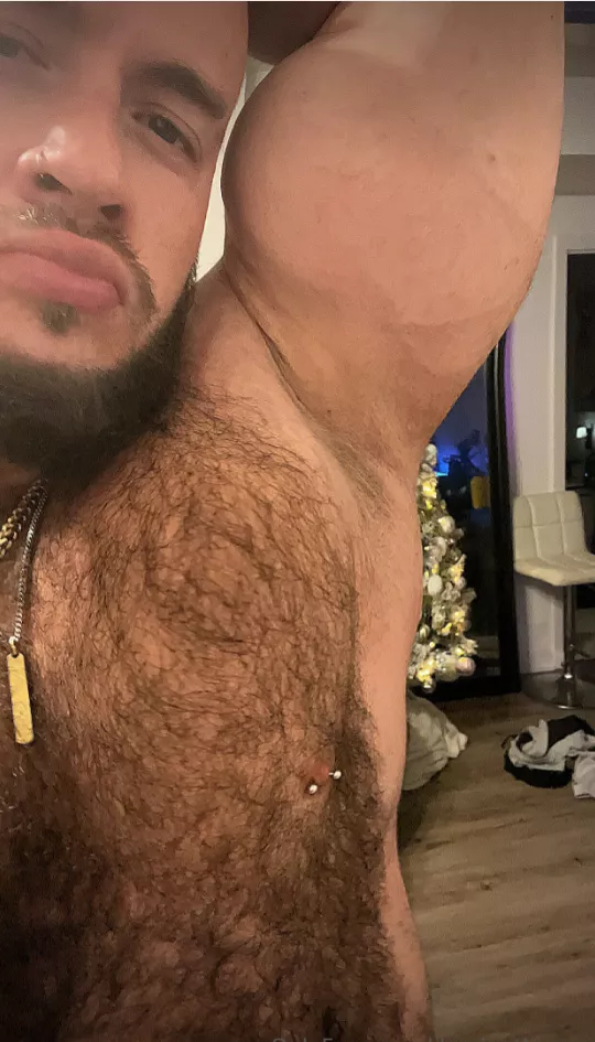 Bear Daddy