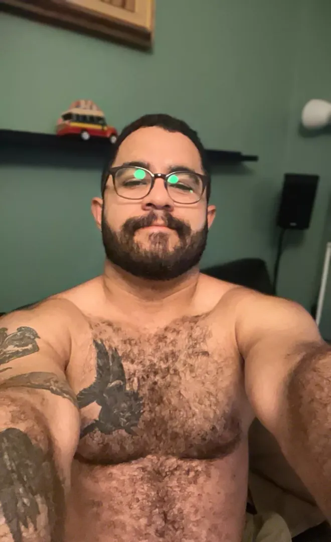 Bear face 
