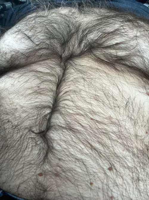 Bear Hair