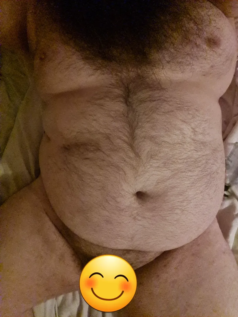 bearded bear 🐻