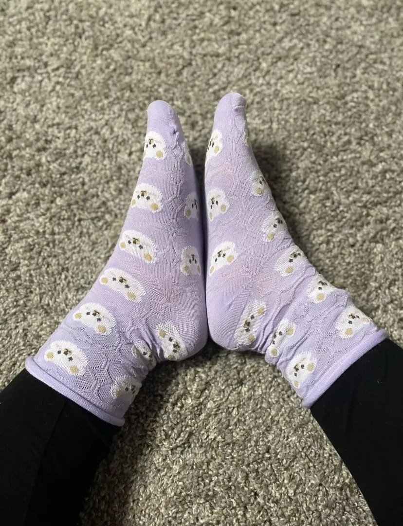 Bear-y cute socks [selling]