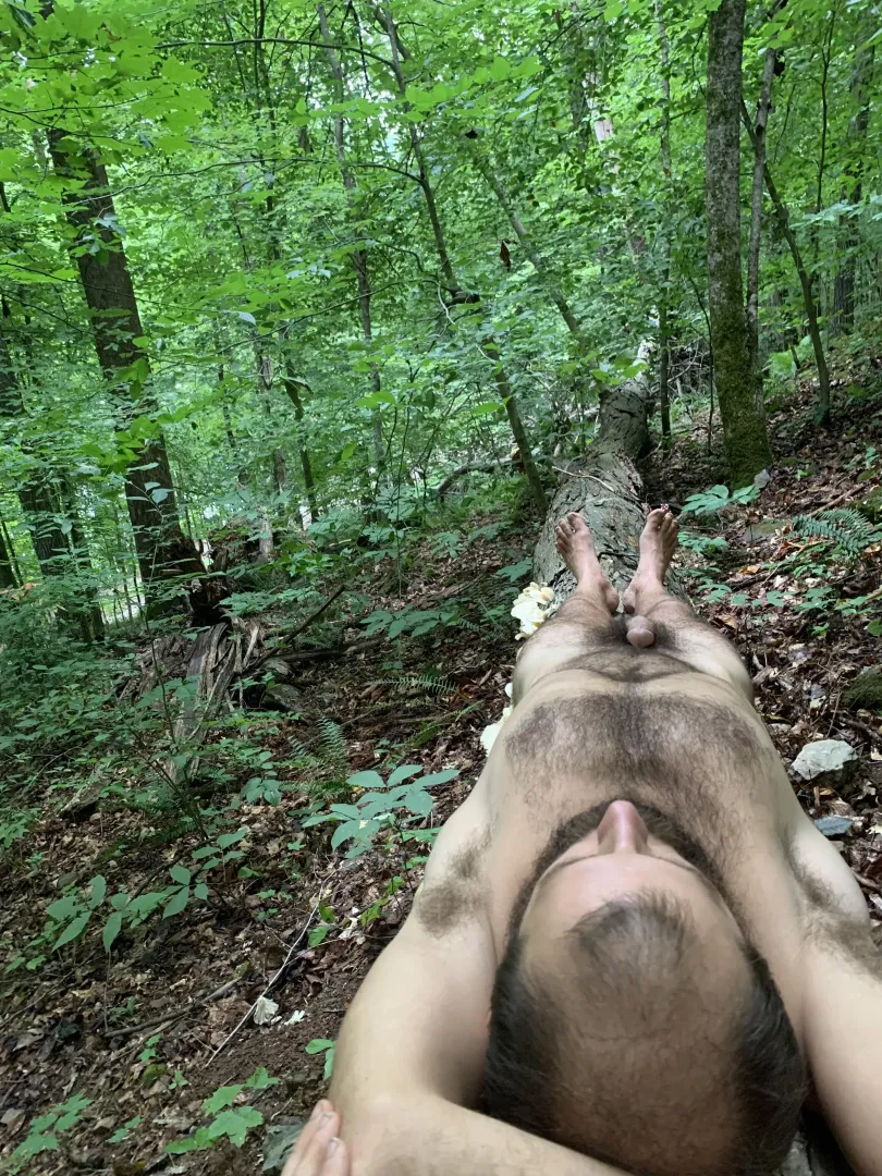Becoming one with the log like a good forest aesthetic