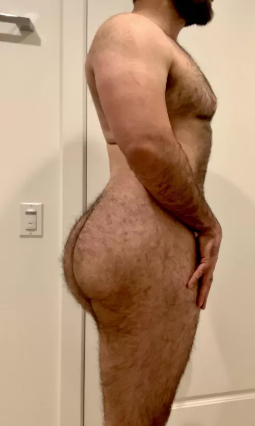 BEEFY 🐻