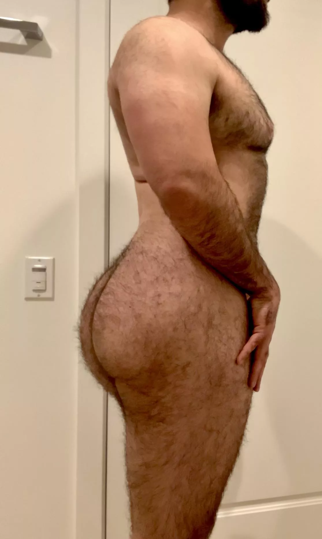 BEEFY 🐻