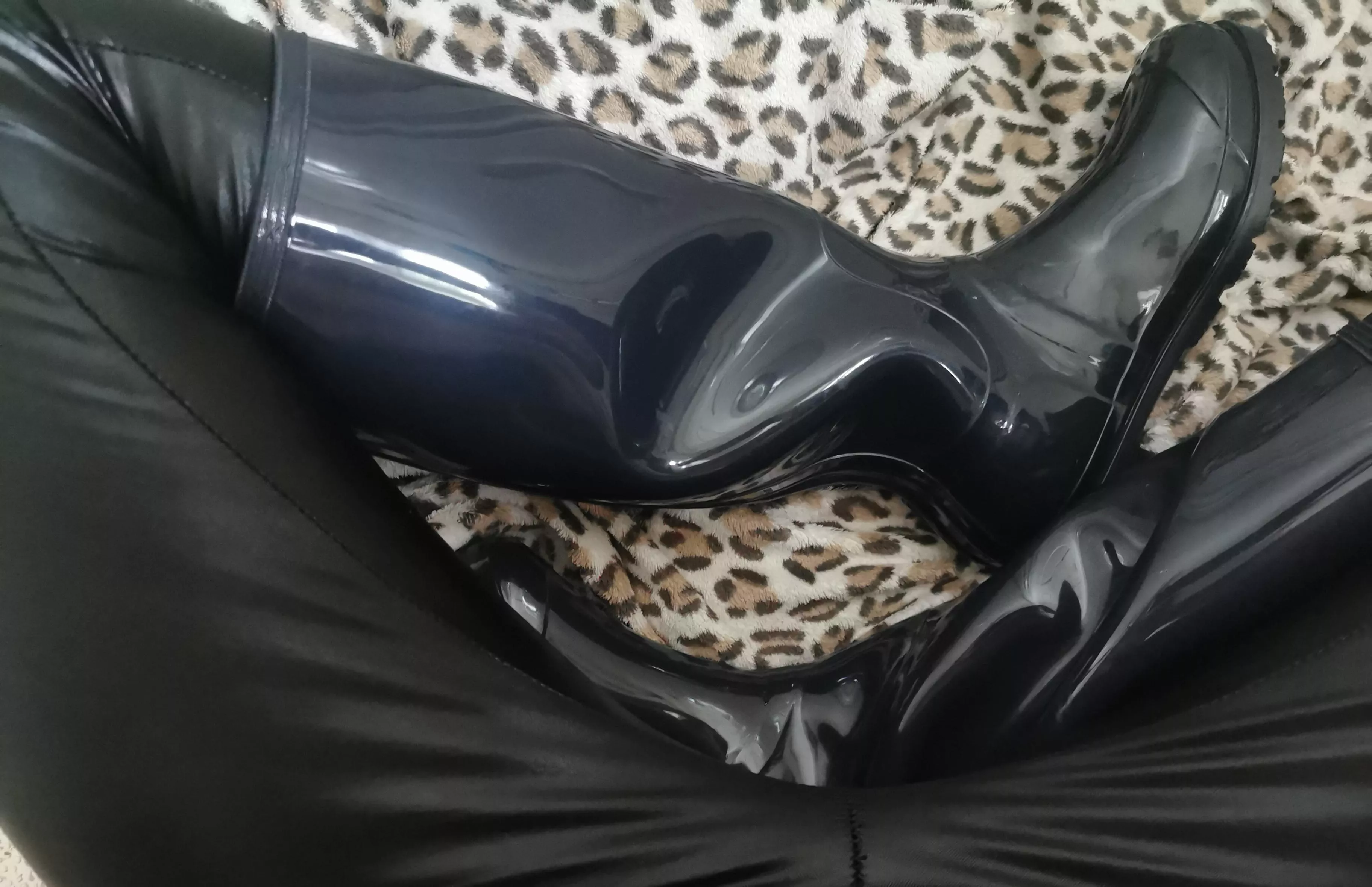 Been giving them a little hump and grind