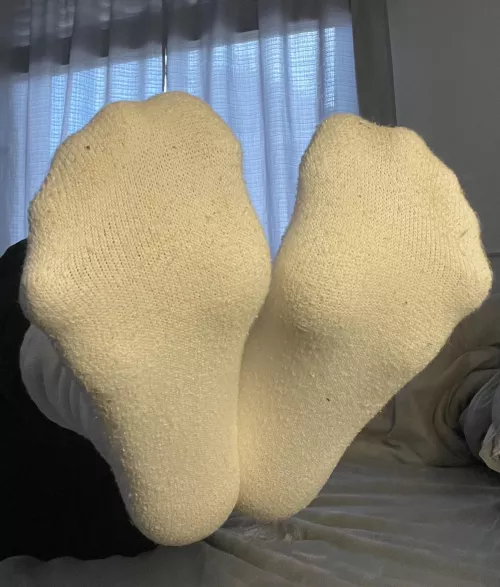 Been wearing these for a few days