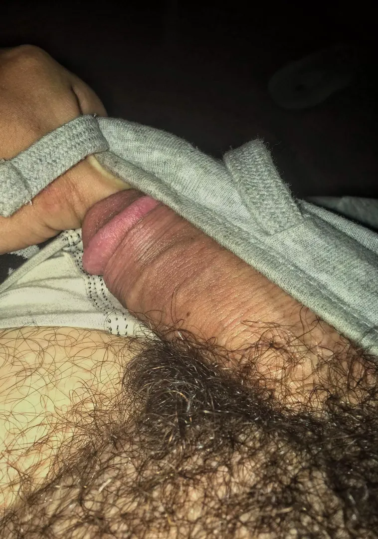 before a trim