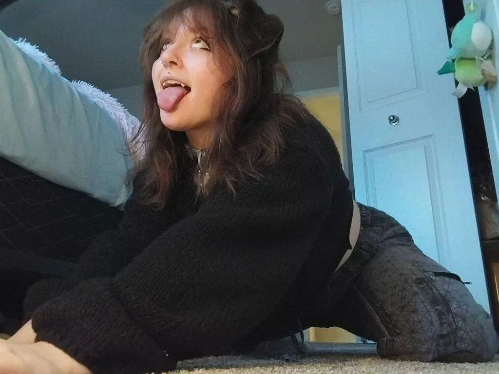 beggin' pup
