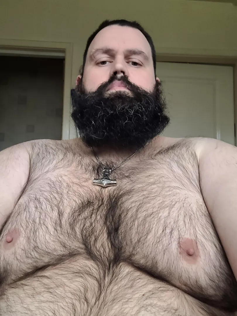 Big bear for anyone