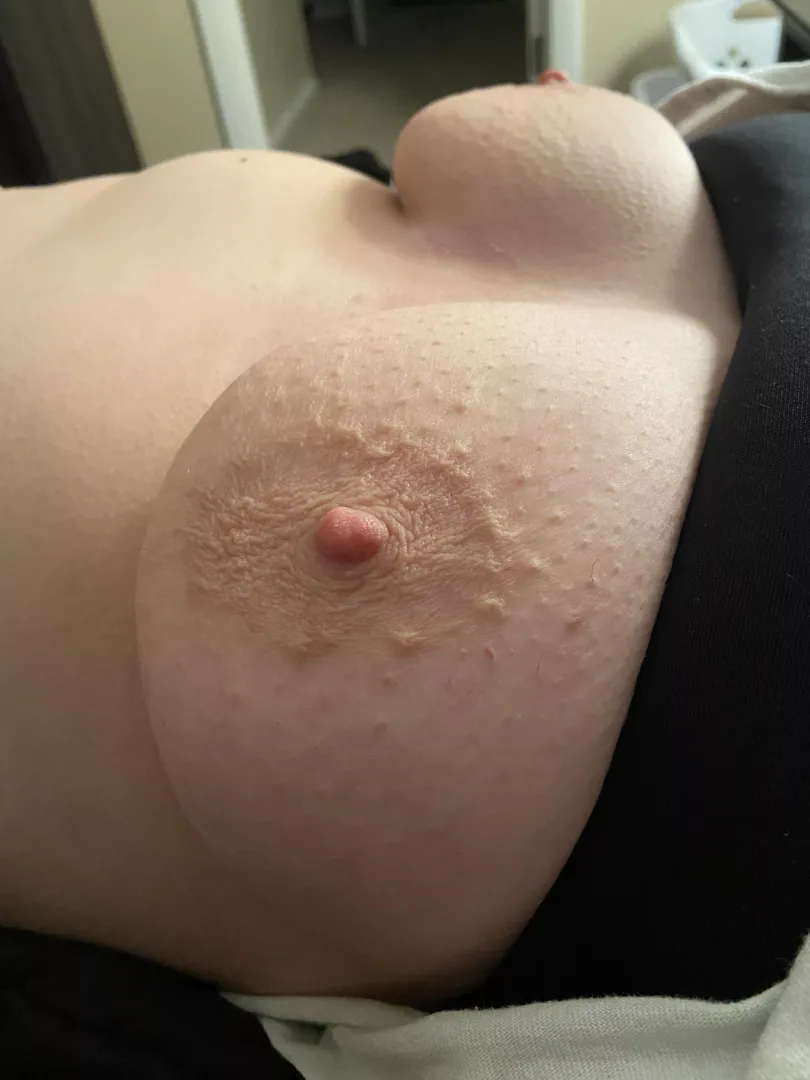 Big d cup titties waiting for you to suck on them!