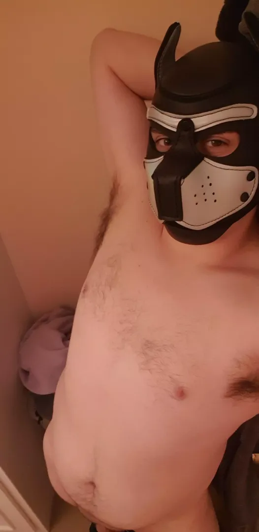 Big pup stretch