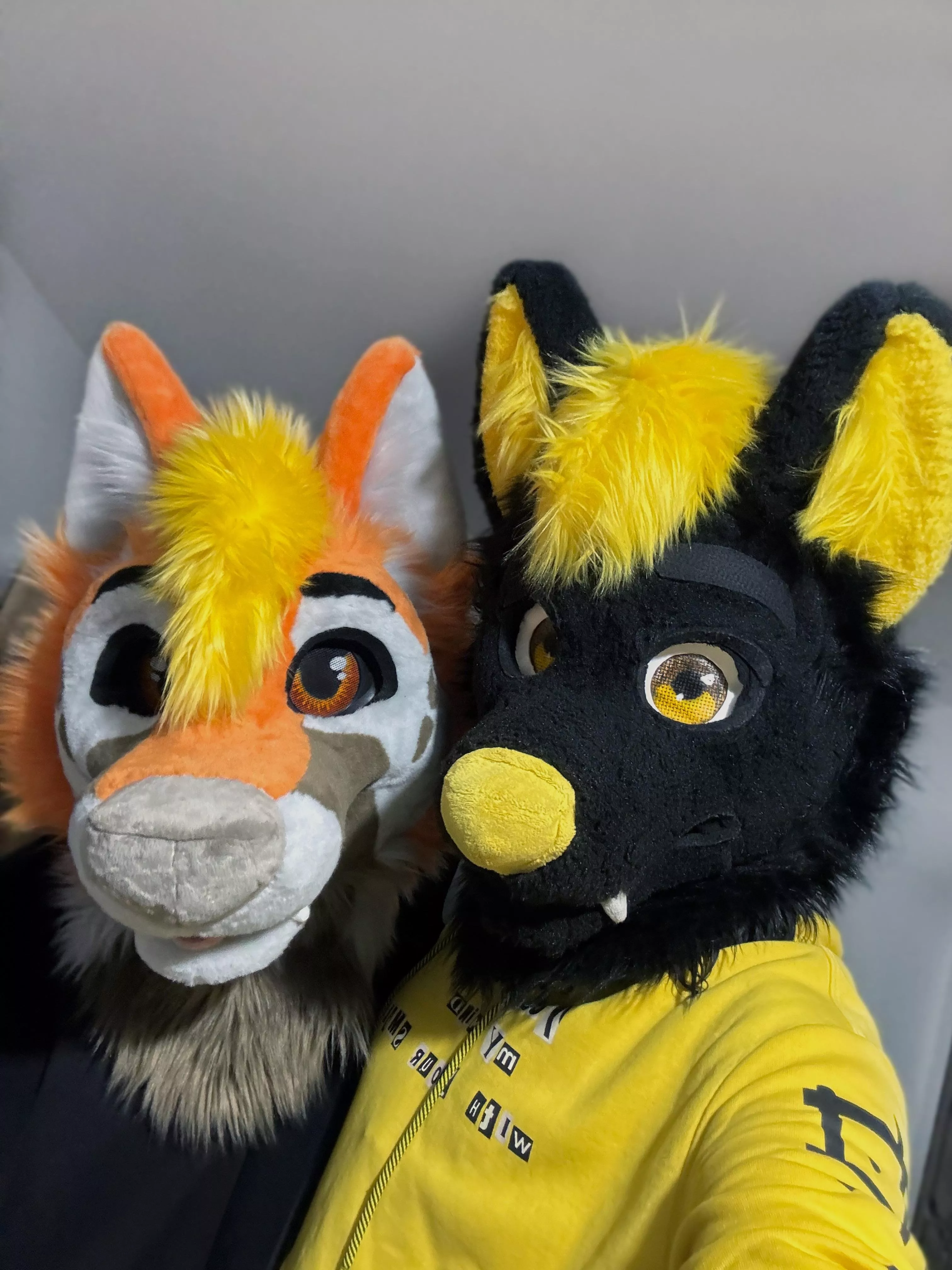 Big strong folf & a smol fox 💛 🧡