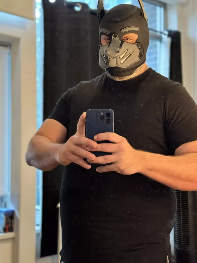 BigBullPup