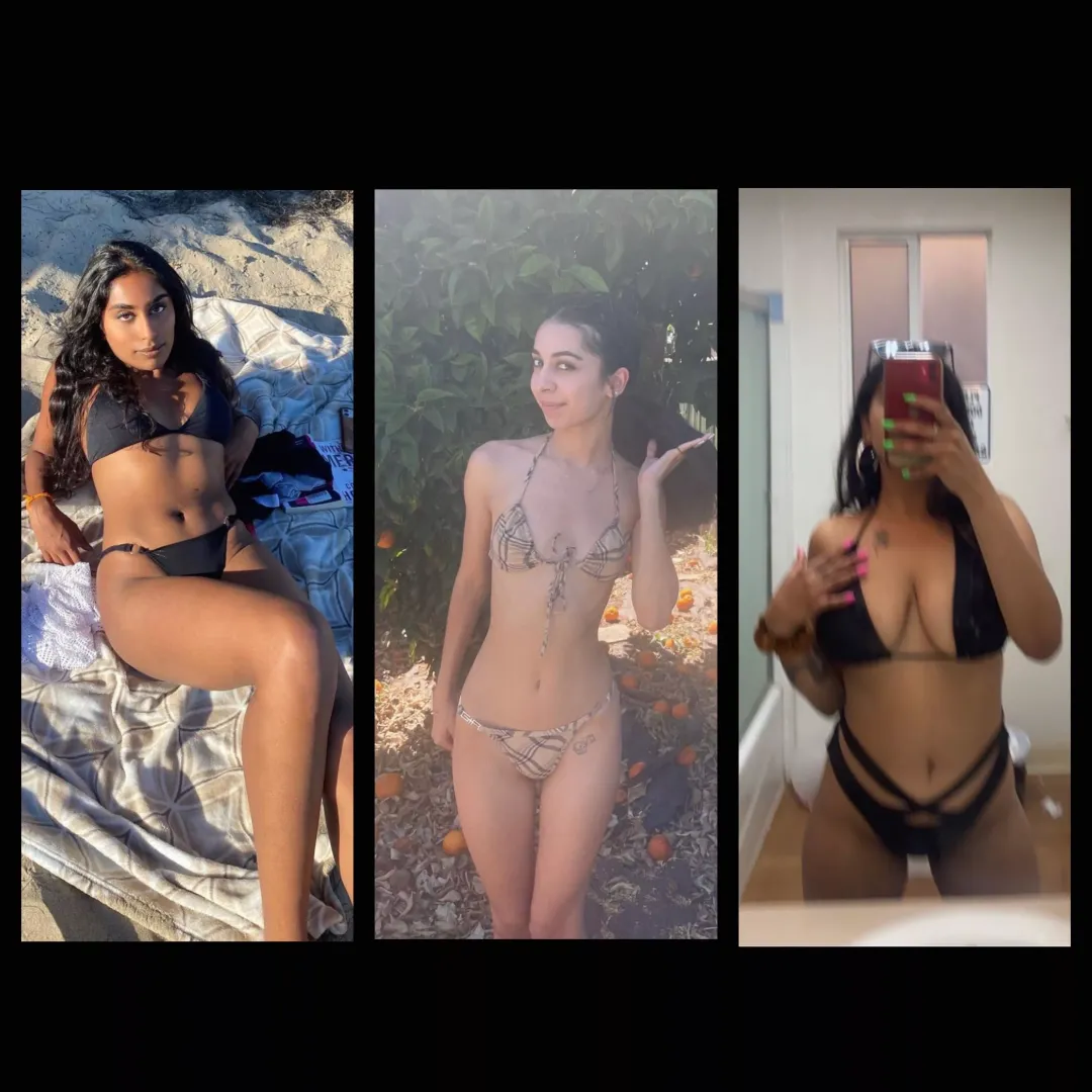 Bikini Bods