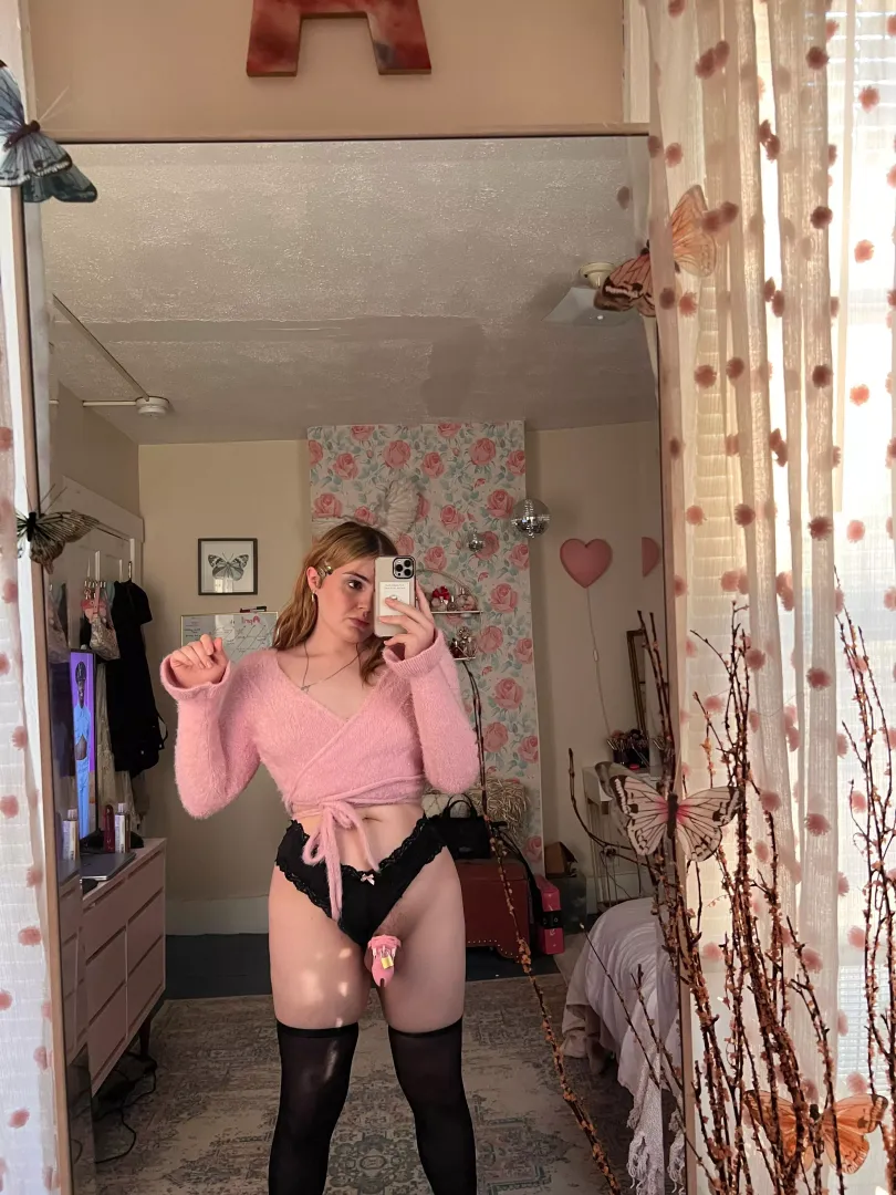 Bimbo pink to match the cage💕
