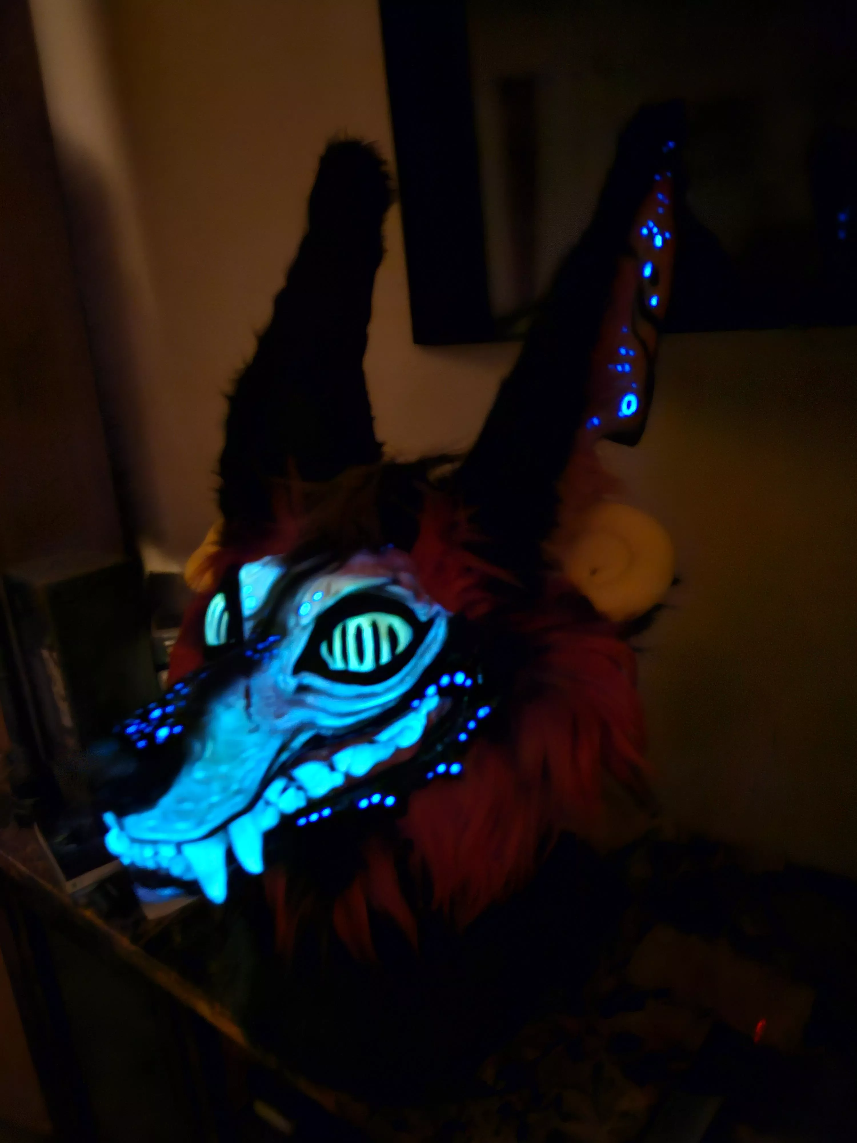 Bioluminescence