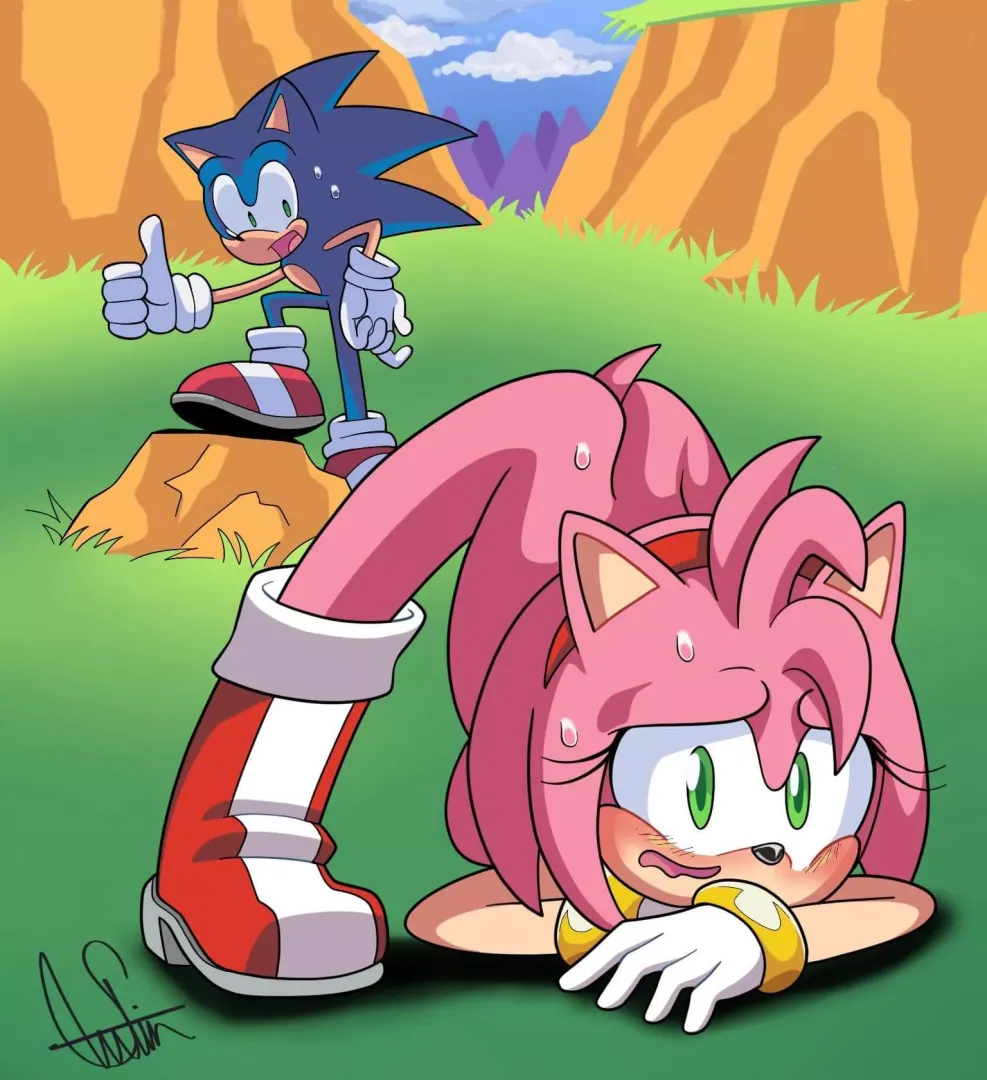 Bit late on the pose. I know, but Sonic seems to like it... I think? Commissions are open! NSFW or SFW work! DM For prices.