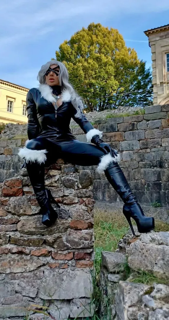 Black cat