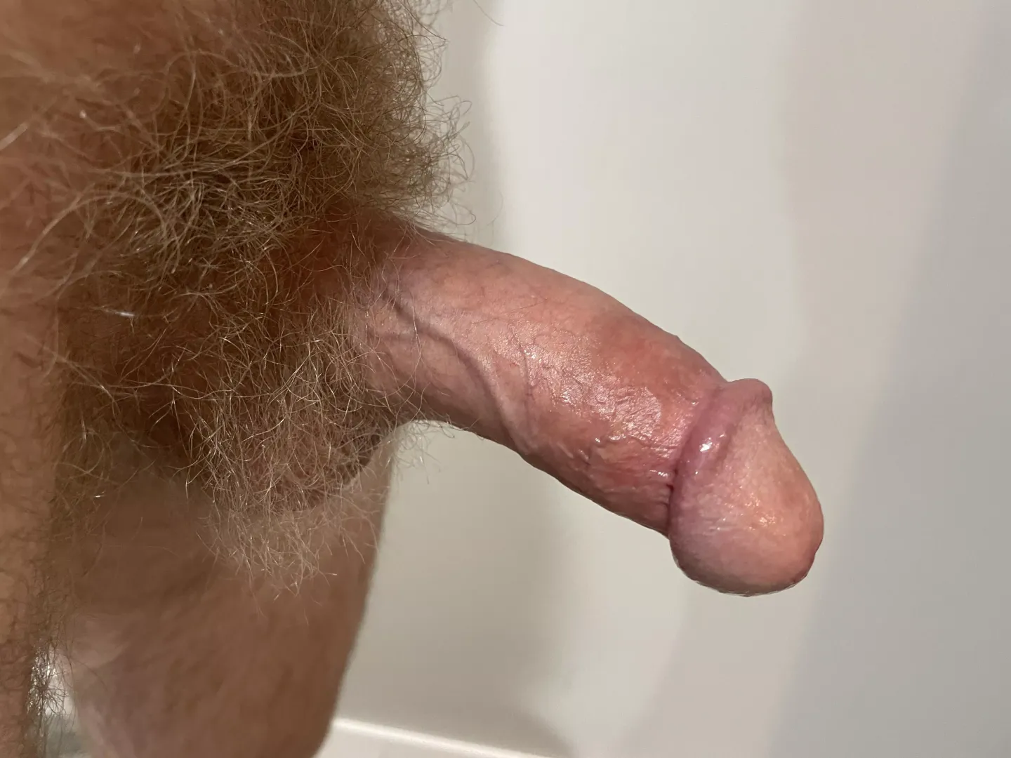 Blonde bush