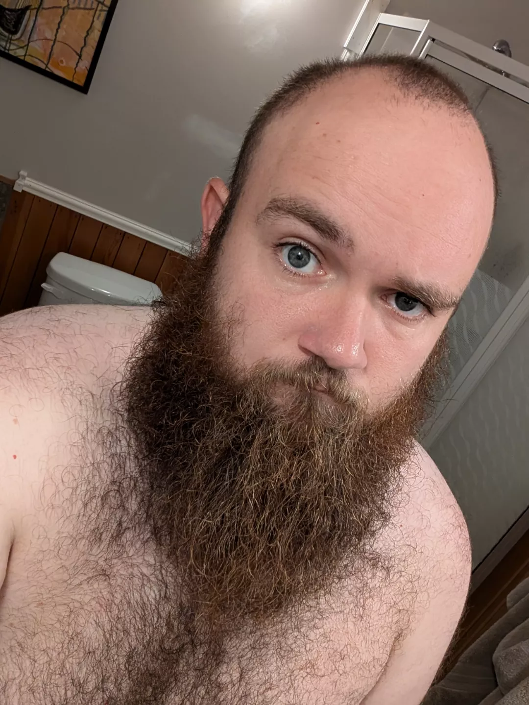 Blue Eyed Canadian Bear. 