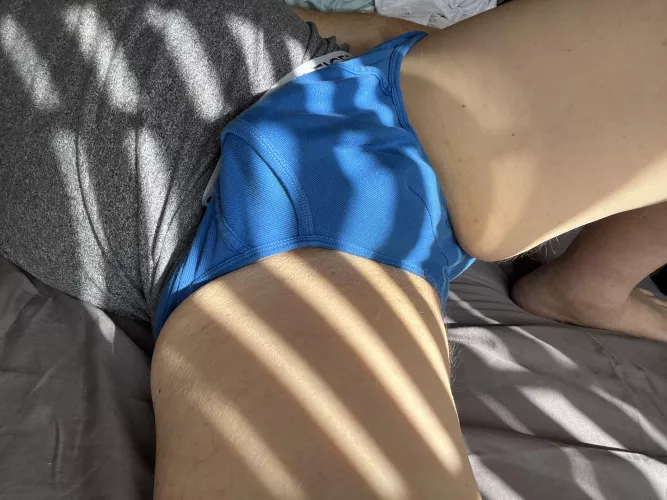 Blue T. H. Briefs in a Sunny Day.