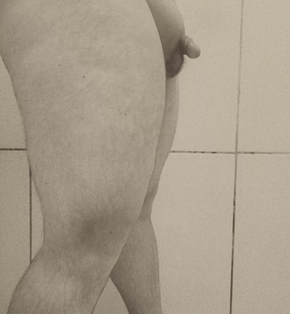 Body Anatomy