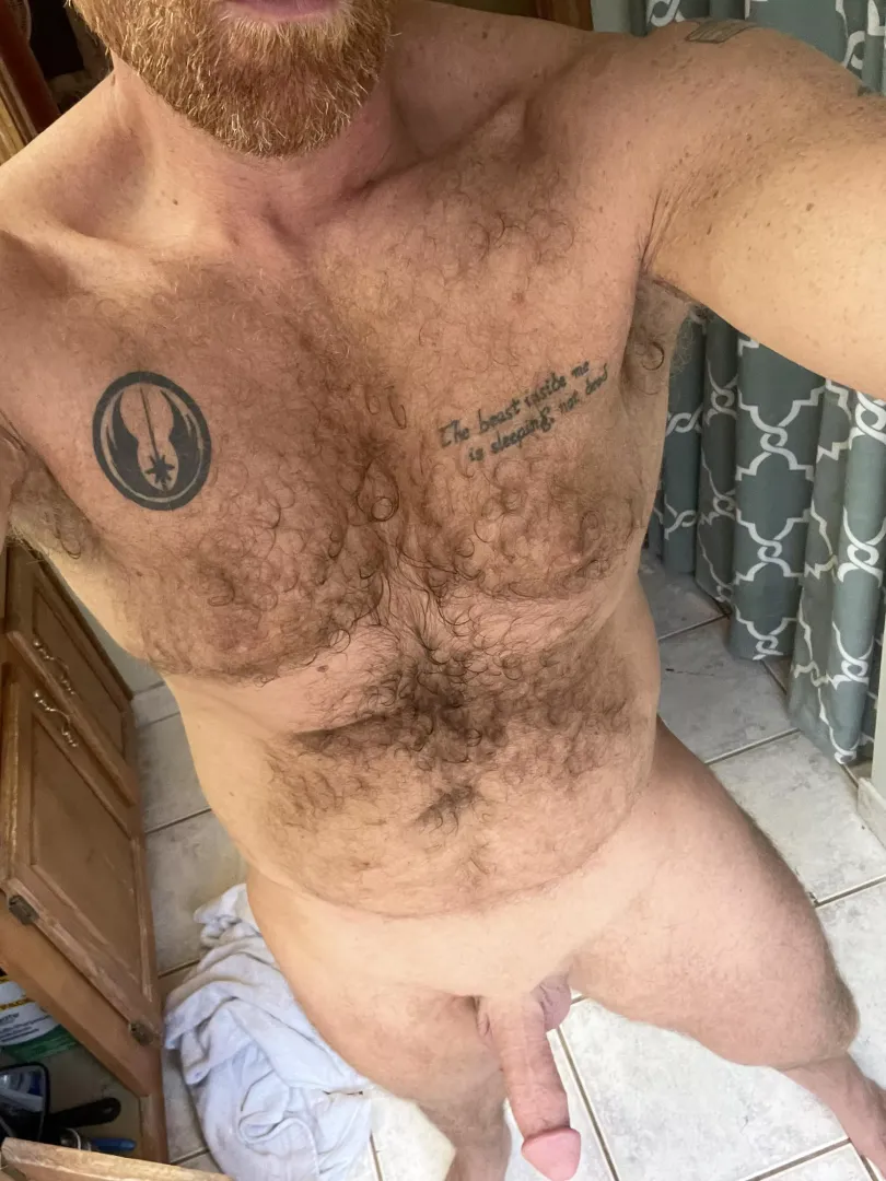 Boner or beard?