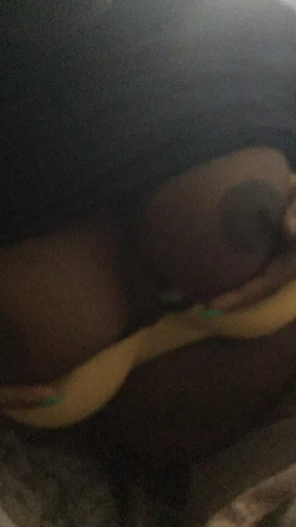 Boobies