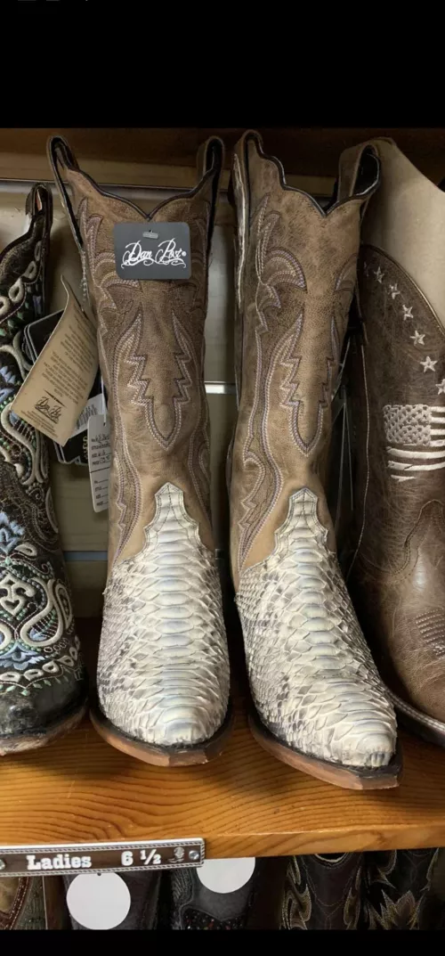Boot search