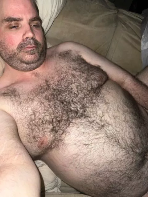 Bored and slutty bear dm open