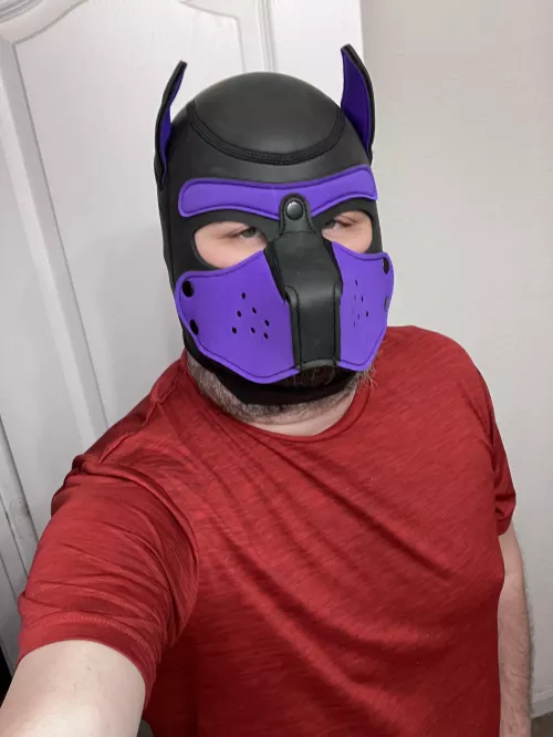Bork? 