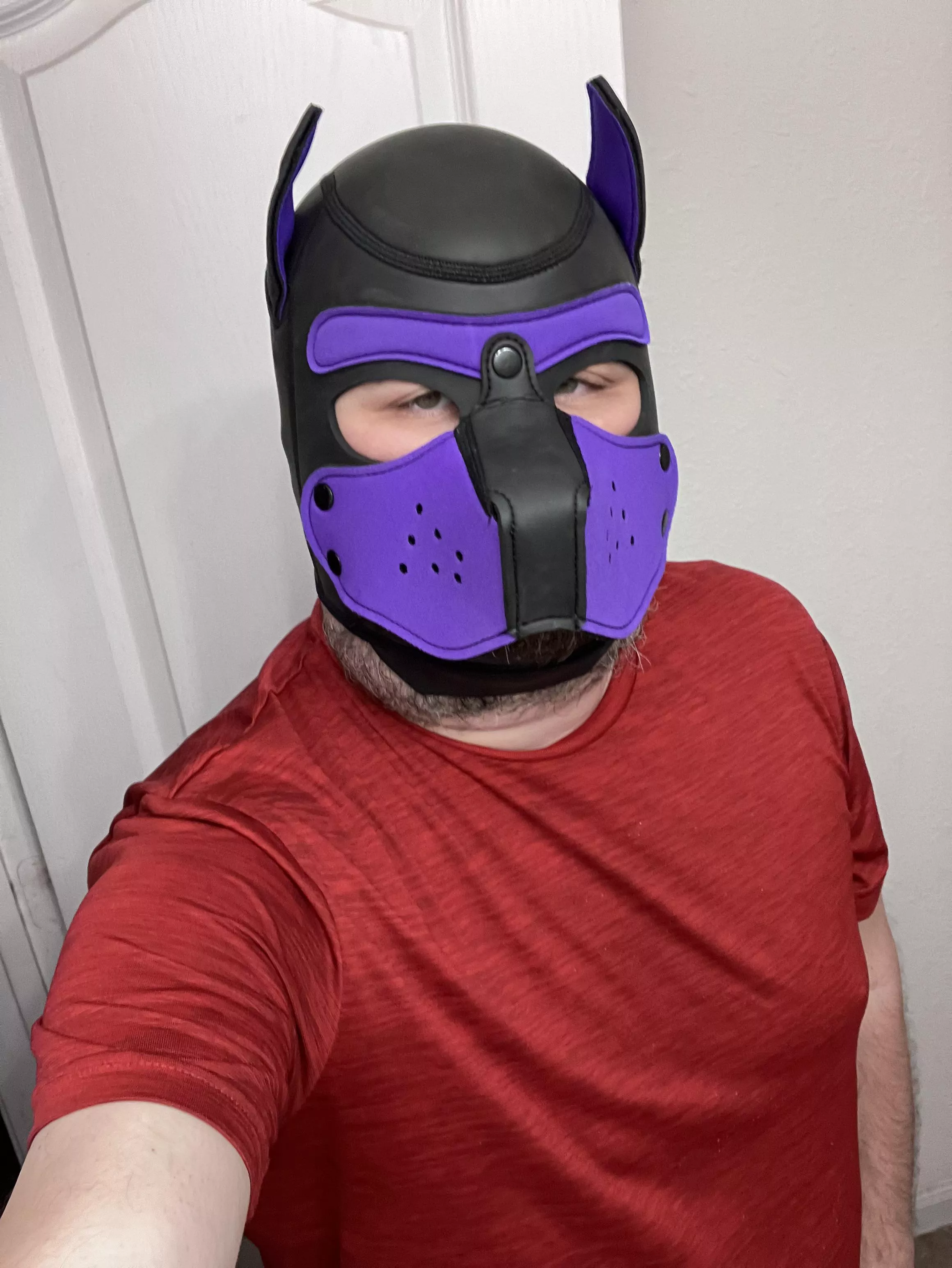 Bork? 