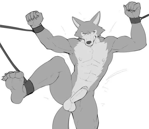 Bound Legoshi (jrjresq)