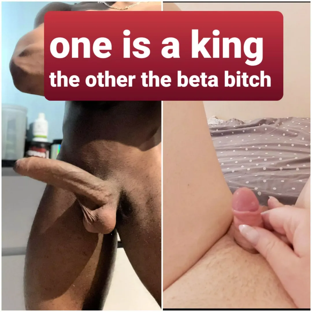 bow to the king