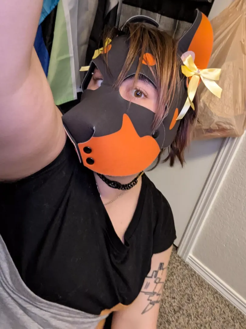 bows!!
