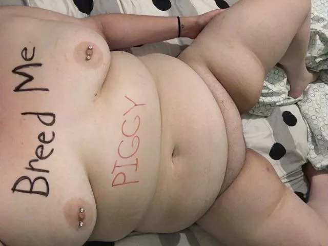 breed the piggy