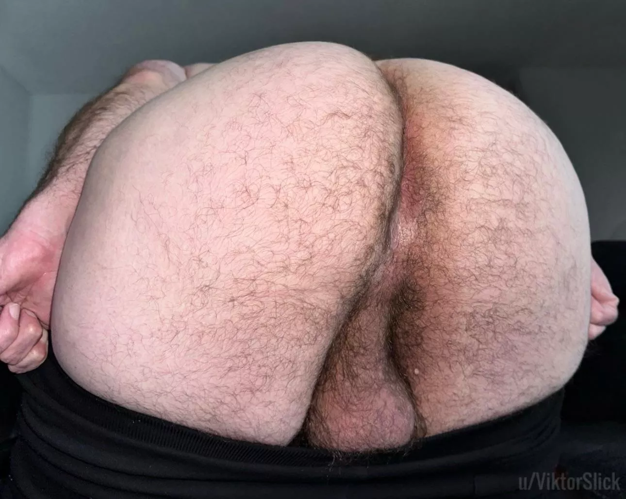 Breed this ass