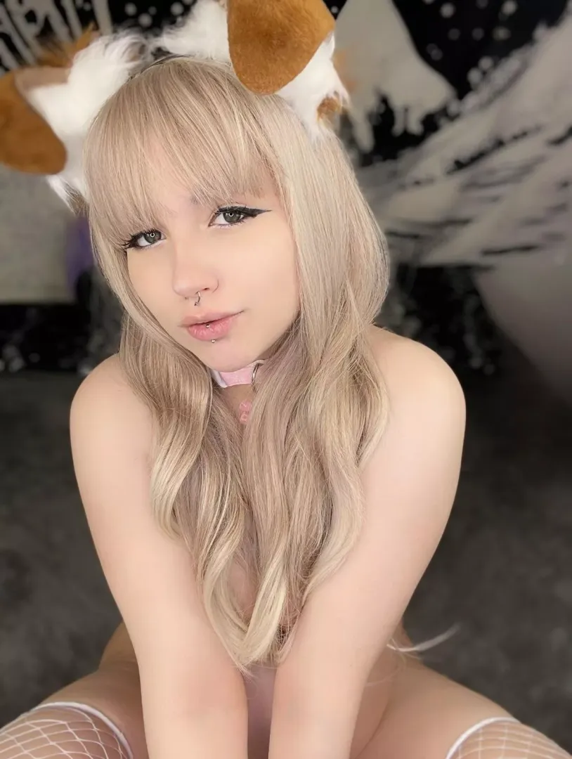 Breed this pretty puppy💖