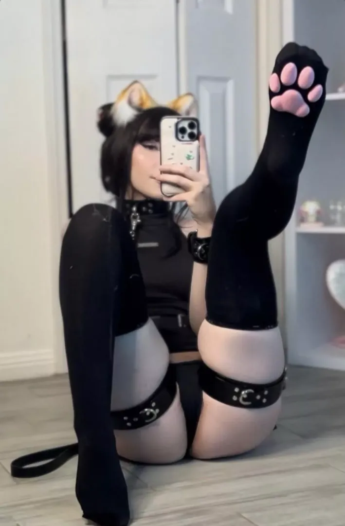 Breedable fox slut, just for you🥺
