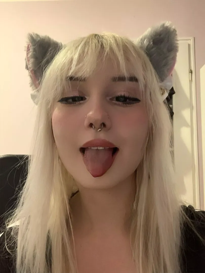 breedable kitten is ready for your load