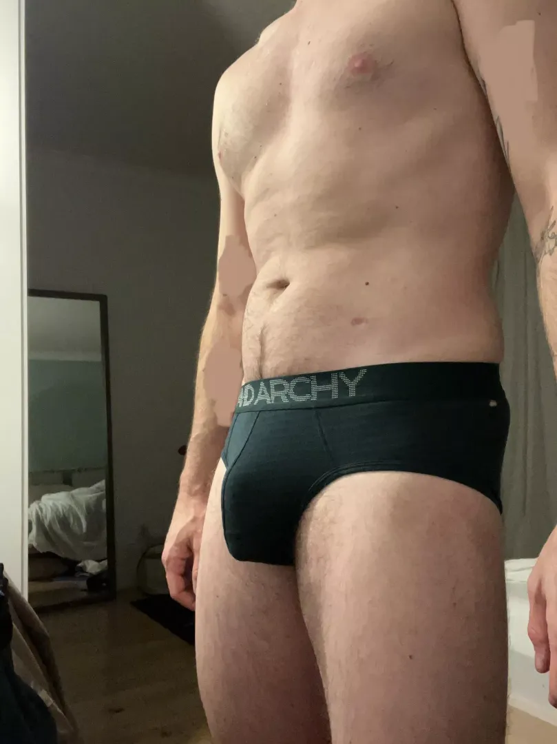 Briefs