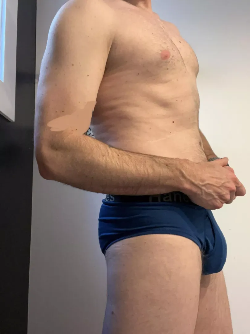 briefs