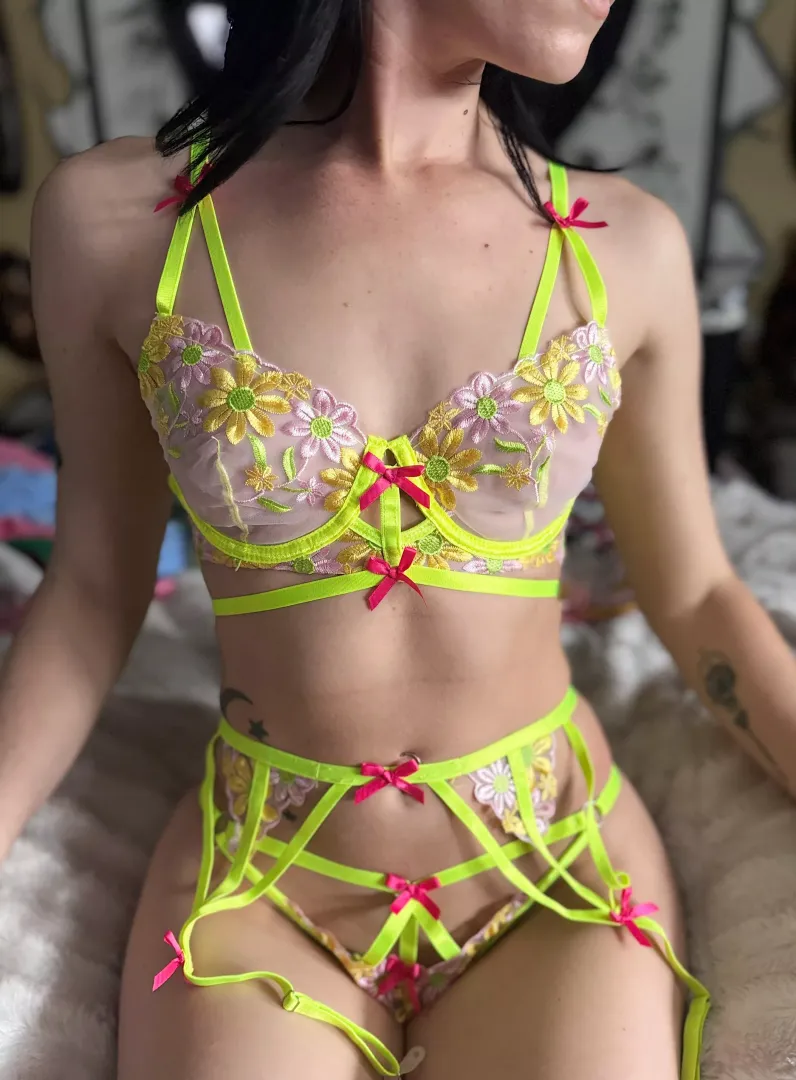 Bright happy colors 